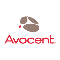 Avocent