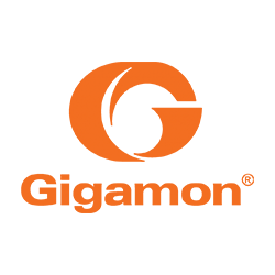 Gigamon